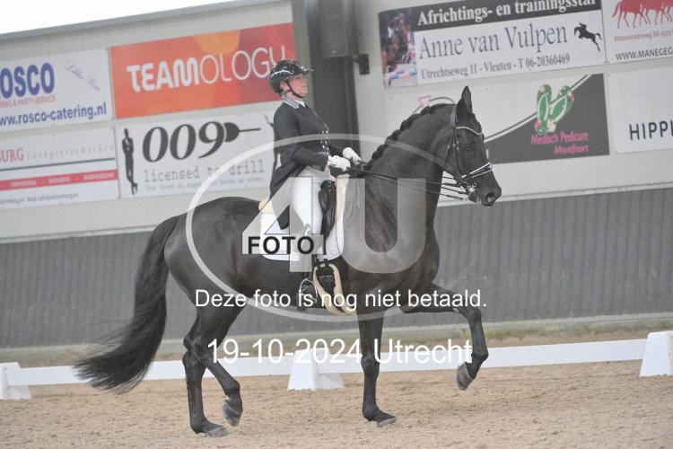 241019 1293