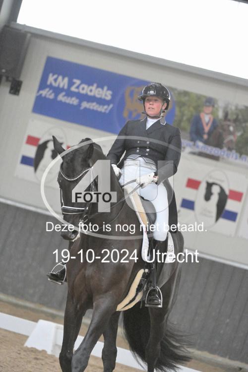 241019 1294