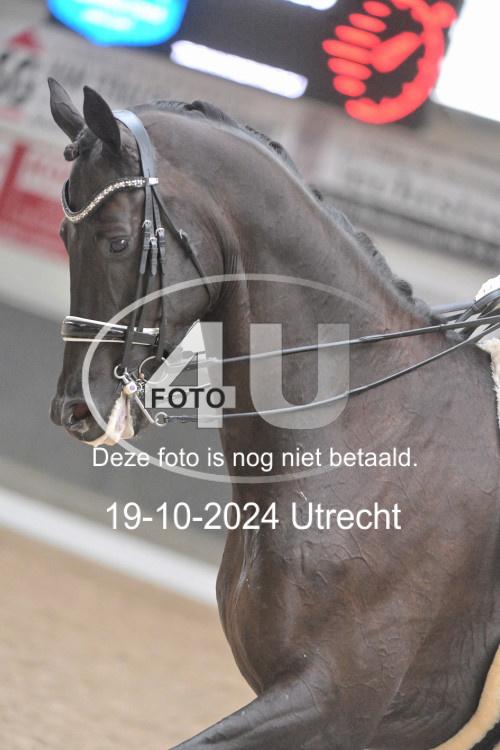 241019 1298