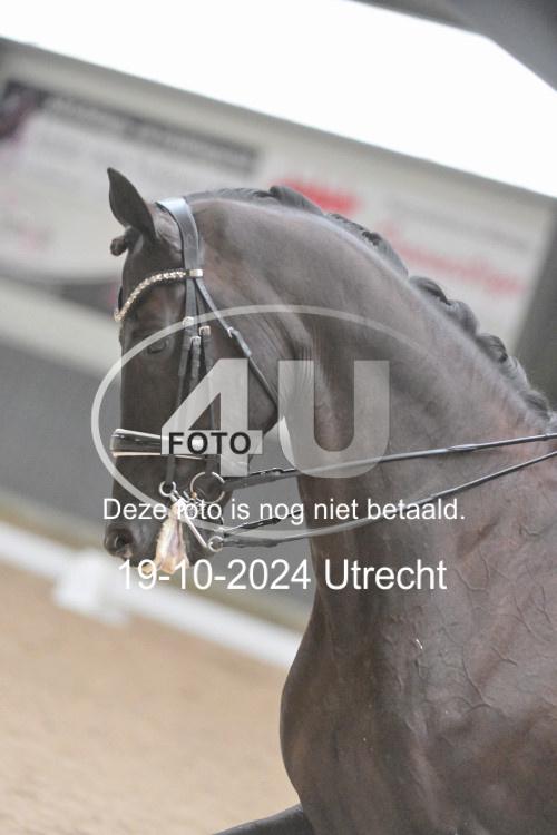 241019 1299