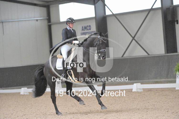 241019 1311
