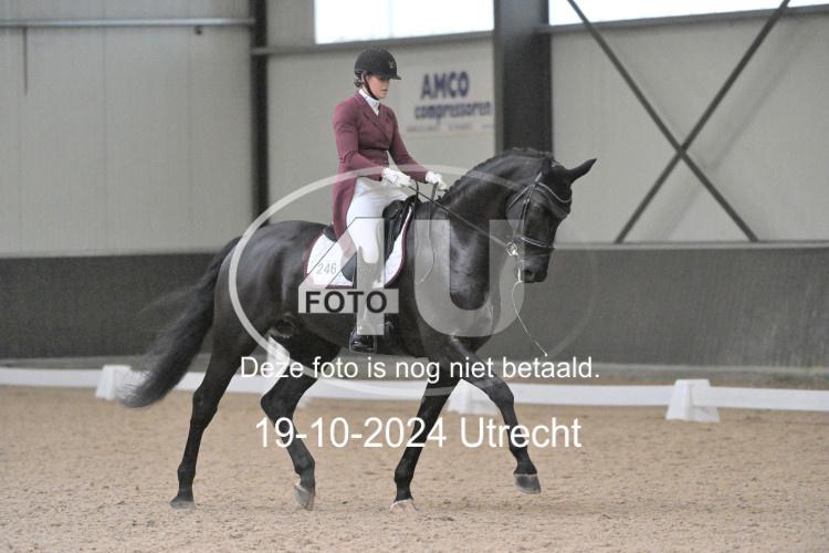 241019 1341