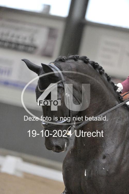 241019 1351