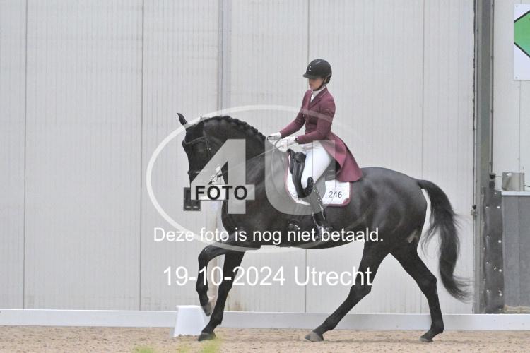 241019 1355