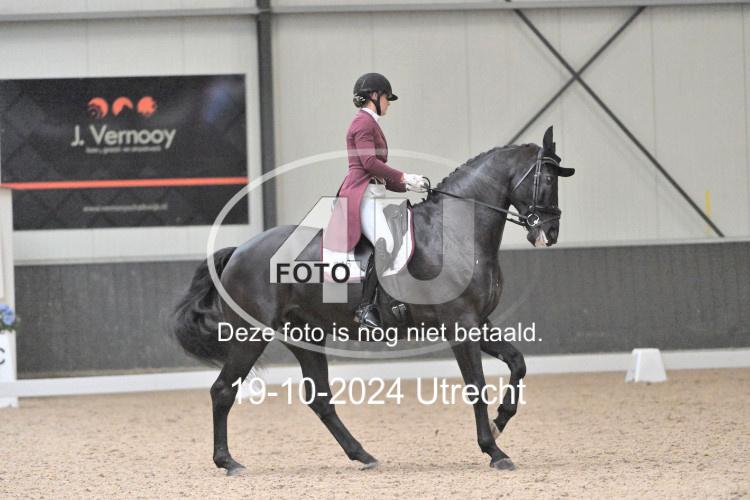 241019 1356