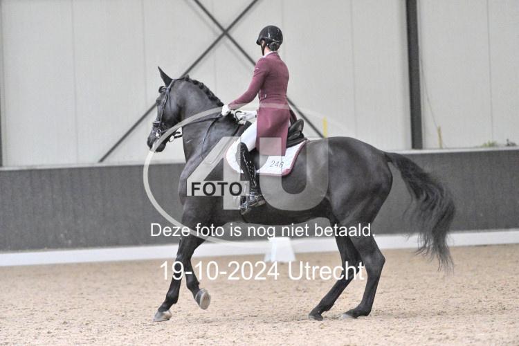 241019 1360