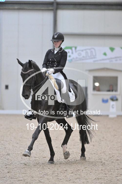 241019 1382