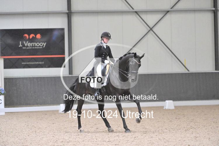 241019 1411