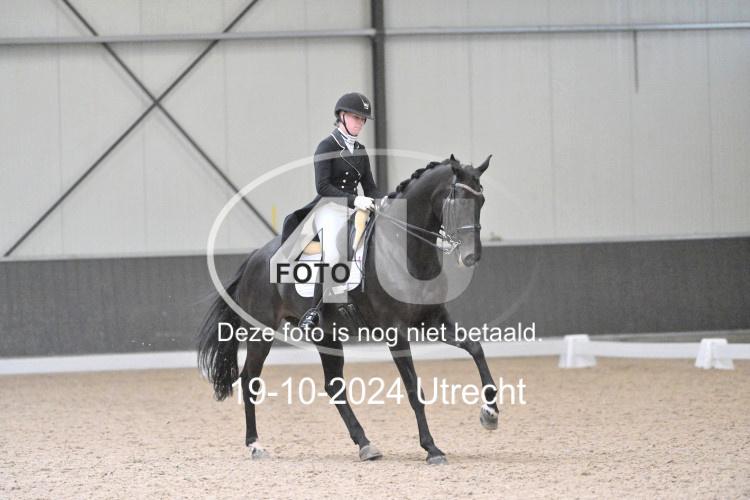 241019 1412