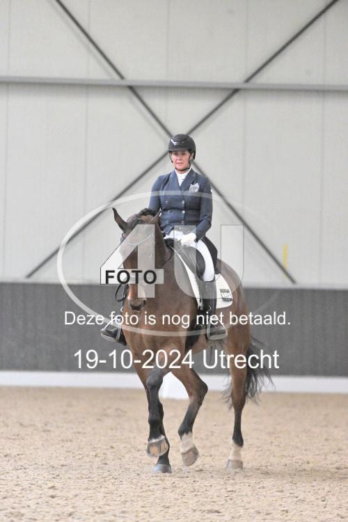 241019 1419
