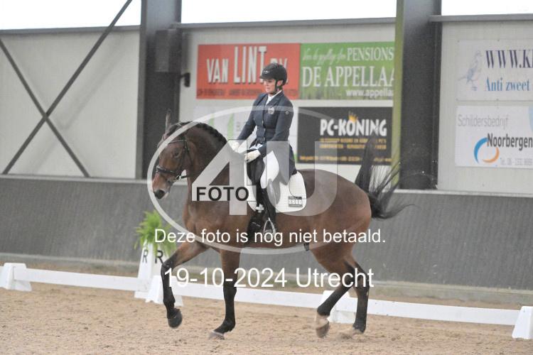 241019 1429