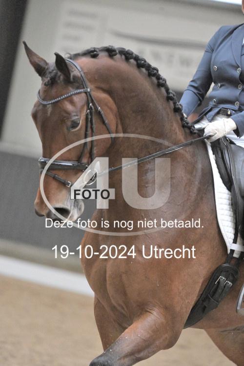 241019 1443