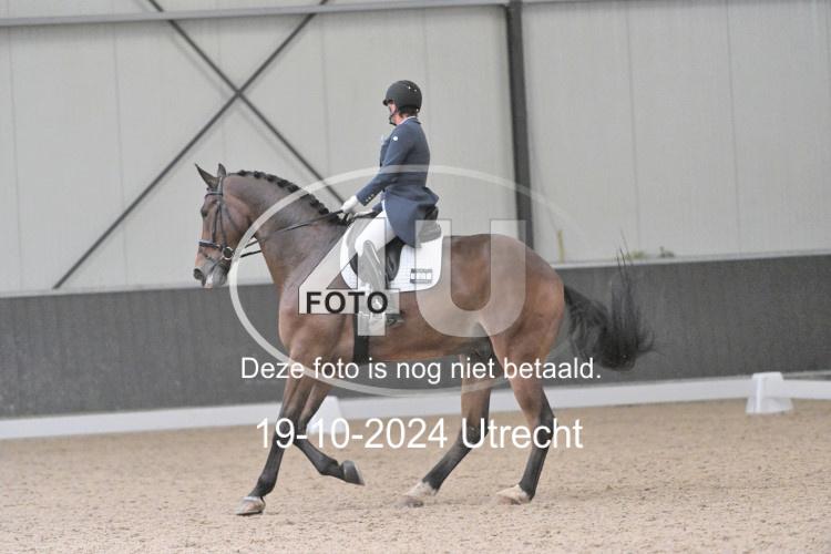 241019 1446
