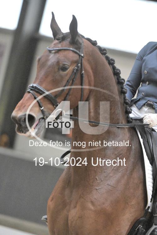 241019 1449
