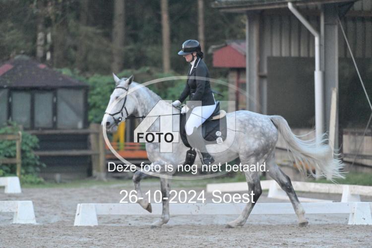 241026 0004