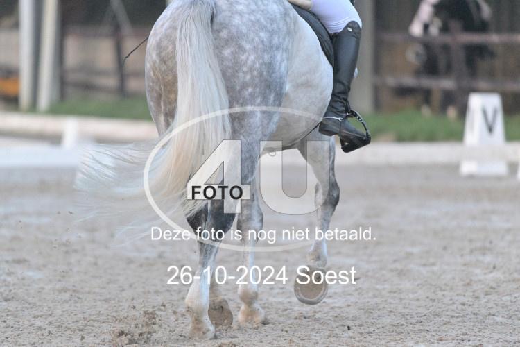 241026 0030