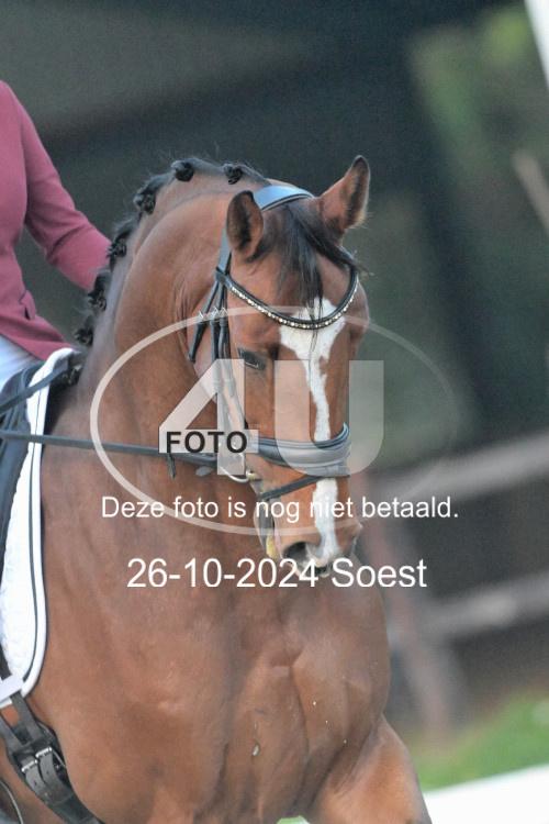 241026 0087