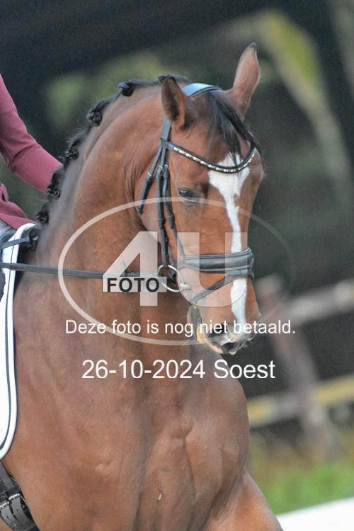 241026 0089