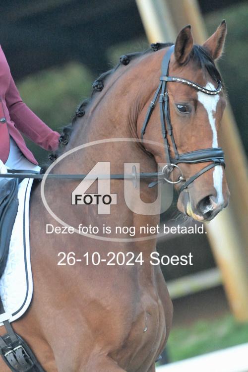 241026 0090