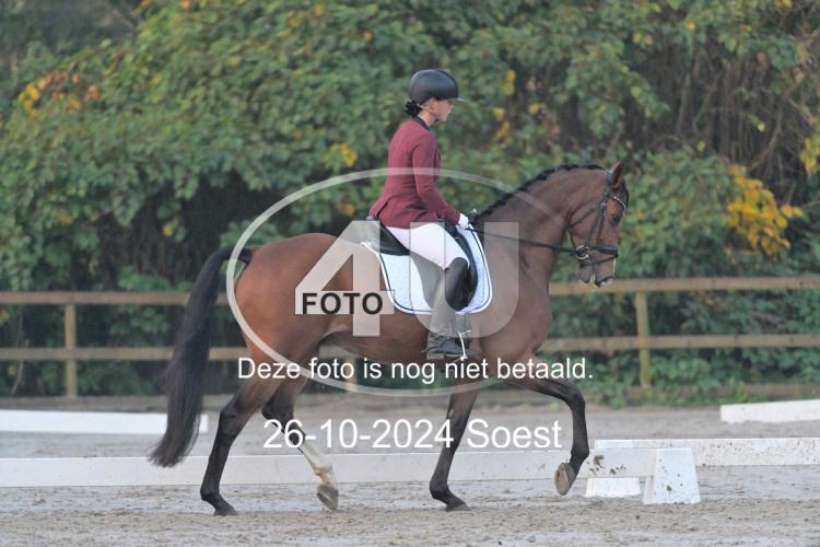 241026 0131