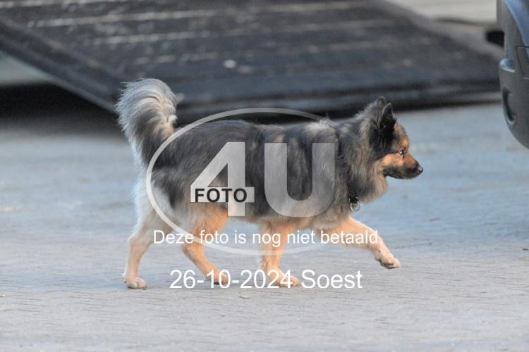 241026 0146
