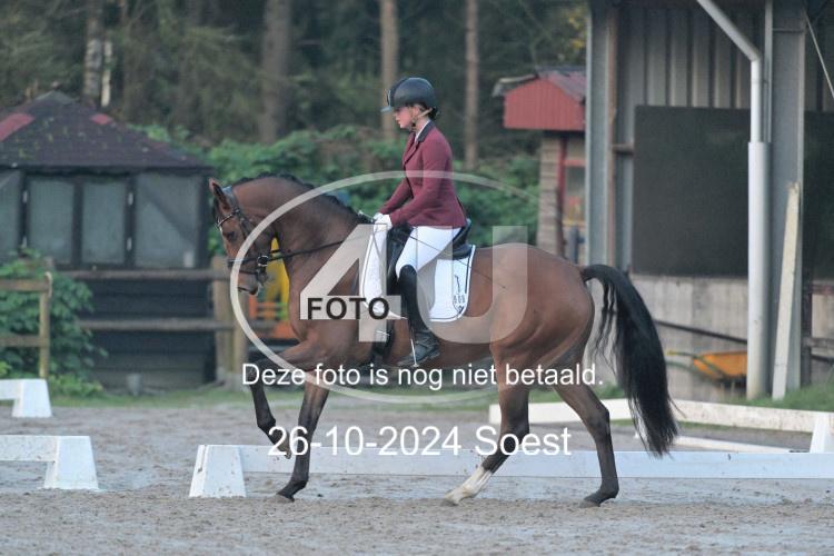 241026 0150