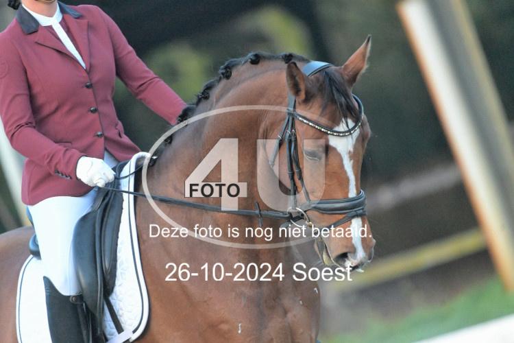 241026 0172