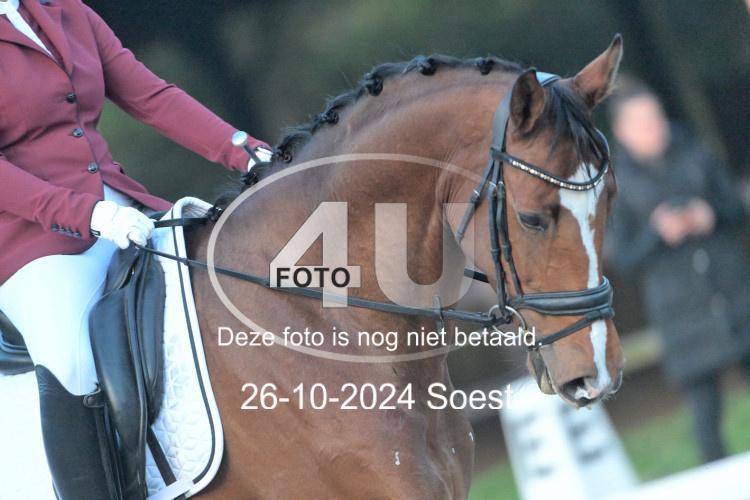 241026 0174