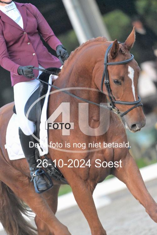241026 0189