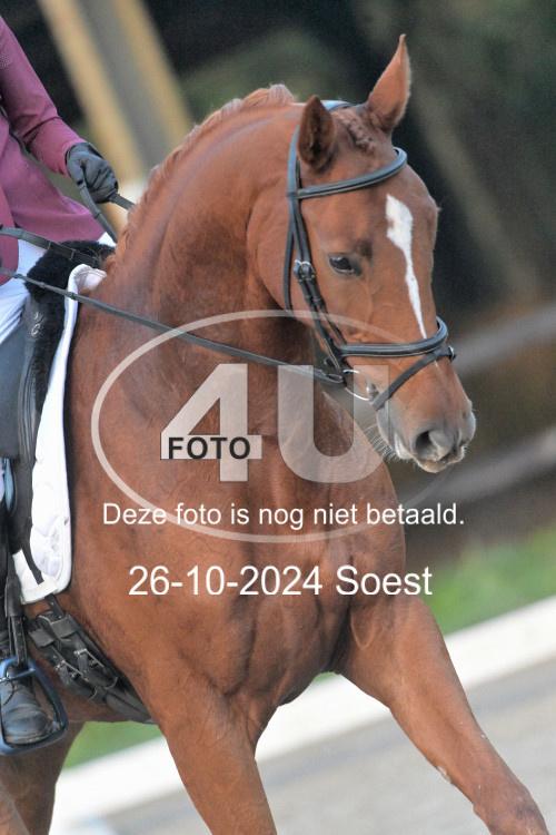 241026 0191