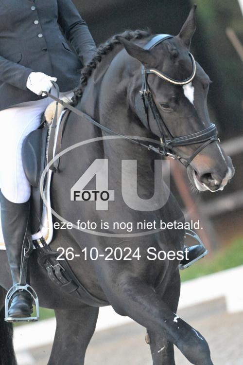 241026 0262