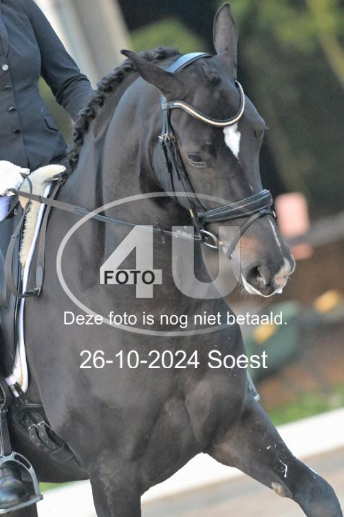 241026 0263