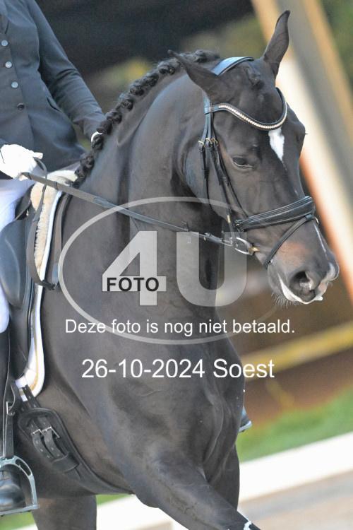 241026 0264
