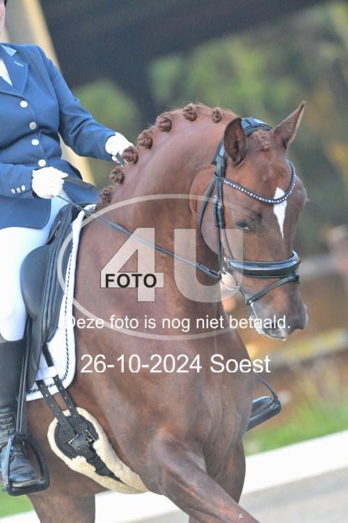 241026 0334