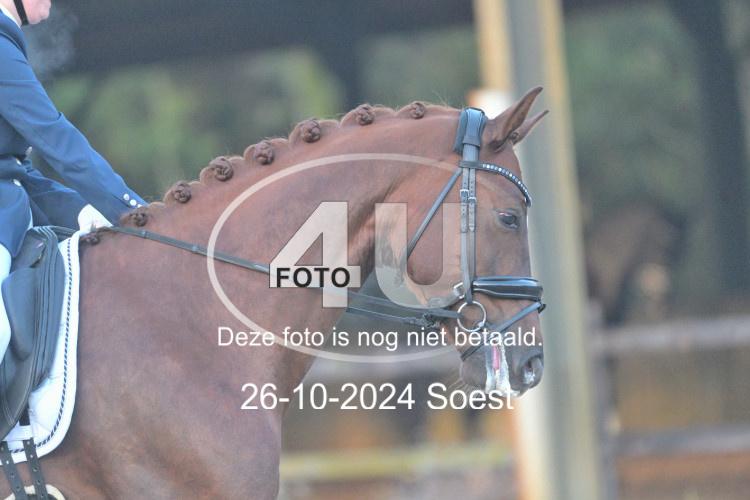 241026 0395