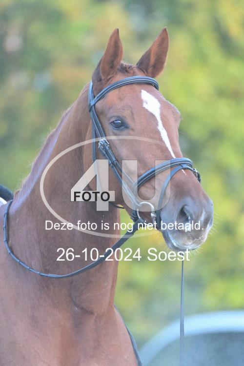 241026 0399