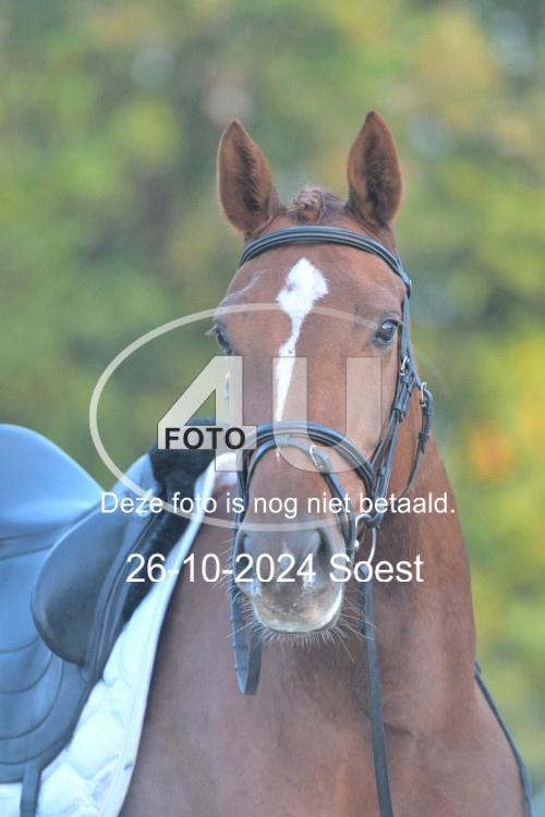 241026 0401