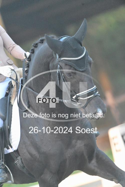 241026 0421