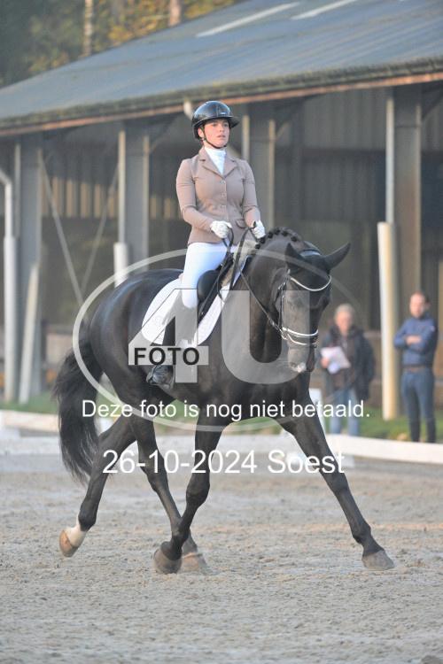 241026 0437