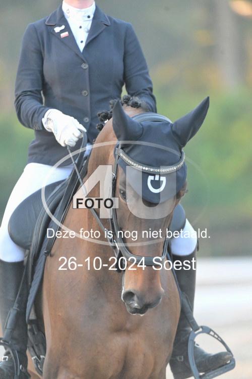 241026 0472