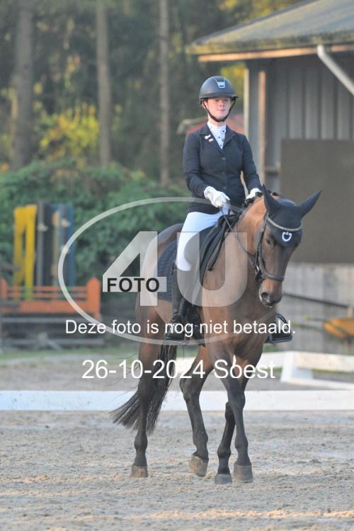 241026 0481