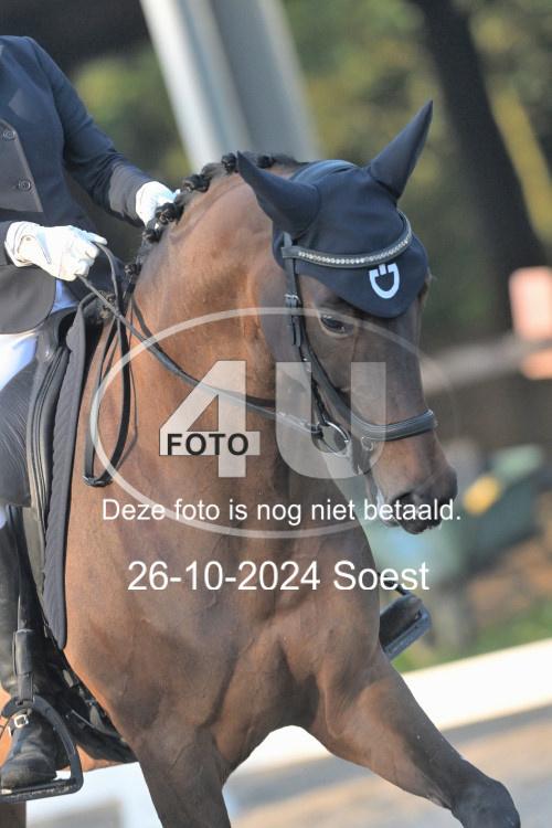 241026 0486