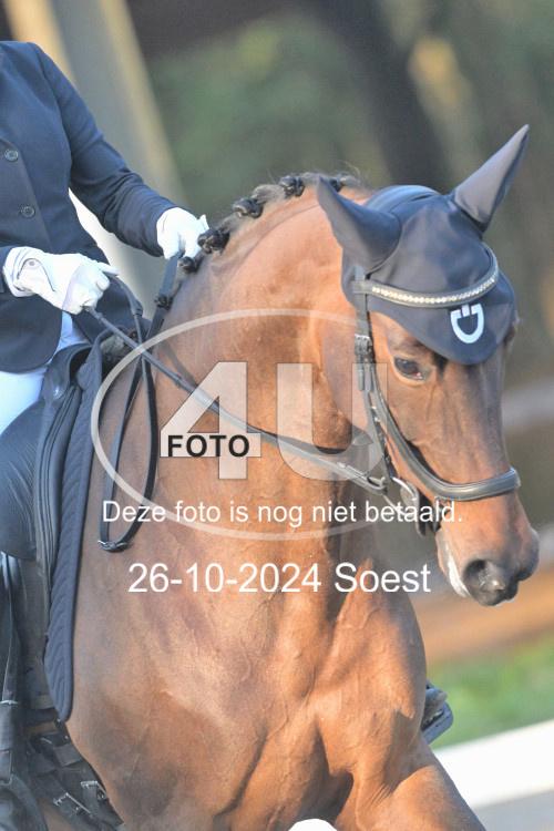 241026 0488