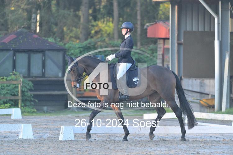 241026 0492