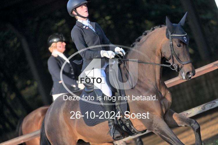 241026 0515