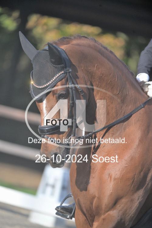 241026 0629