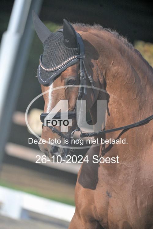 241026 0630