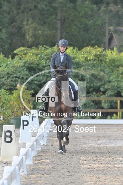 241026 0706