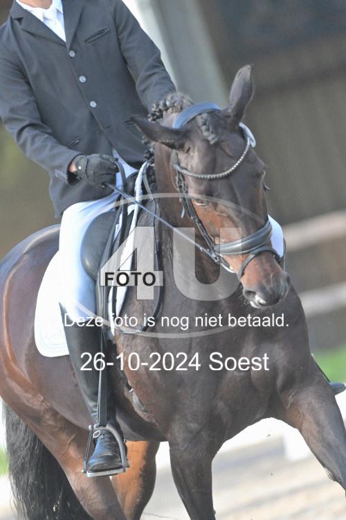 241026 0766