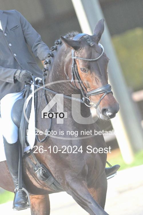 241026 0770